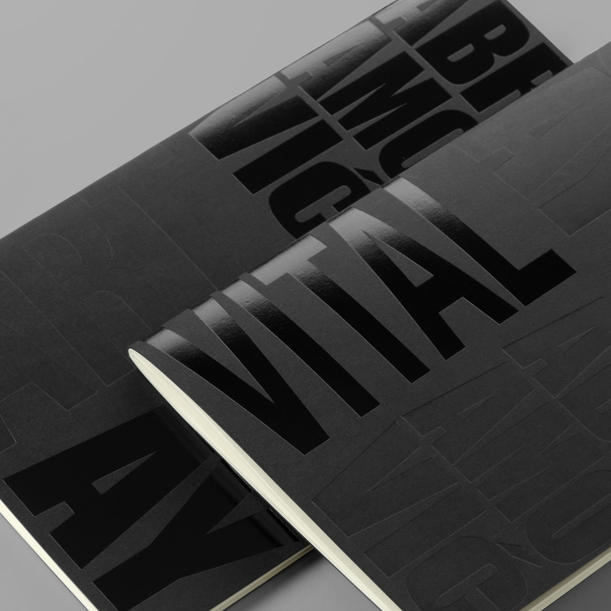 Ulay/Marina Abramović - ART VITAL